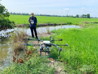 Growing rice with smartphone