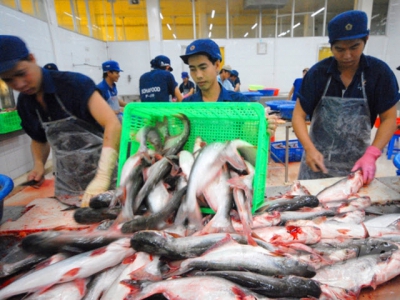 World pangasius output will exceed three million tons