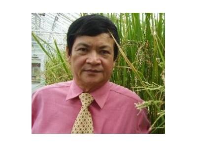 Giải Bài Toán Thiếu Nhân Công, Thất Thoát Sau Thu Hoạch