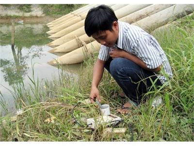 Mặn Tấn Công Ruộng Đồng