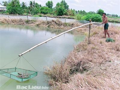 Một Cán Bộ Xã Làm Giàu Từ Mô Hình Nuôi Cá Chình