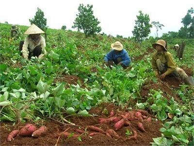 Những Kiểu Mua Hàng Khác Người Của Lái Buôn Trung Quốc