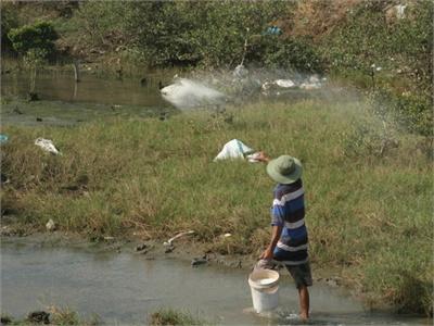 Ra Quân Khử Trùng Kênh Mương Nuôi Trồng Thủy Sản