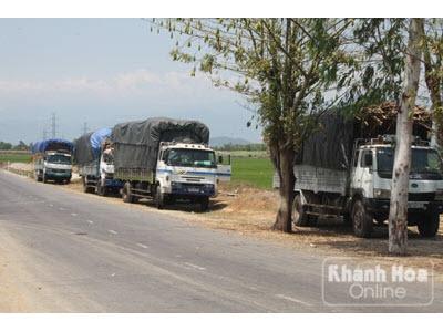 Nhà Nông Thêm Nỗi Lo Vì Mía