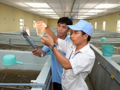 Công khai doanh nghiệp có giống tôm tốt