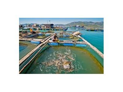 Quảng Điền (Thừa Thiên Huế) đầu tư 1 tỷ đồng xử lý luồng lạch cải thiện môi trường nuôi trồng thủy sản