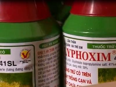 Thuốc diệt cỏ chứa Glyphosate thế giới cấm, Việt Nam vẫn bán chạy