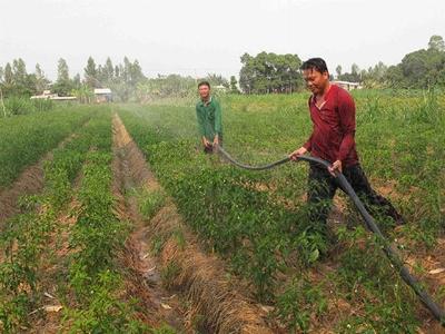 Tưới nhỏ giọt công nghệ thích ứng với hạn hán