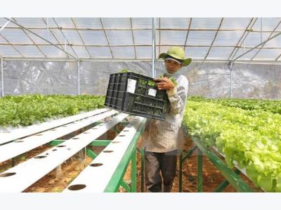 Agricultural sector pins hope on Japanese investment