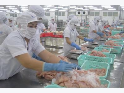 China seen becoming Vietnams largest tra fish importer