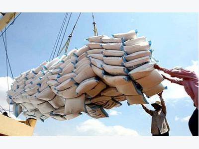 Vietnams rice exports on sharp fall