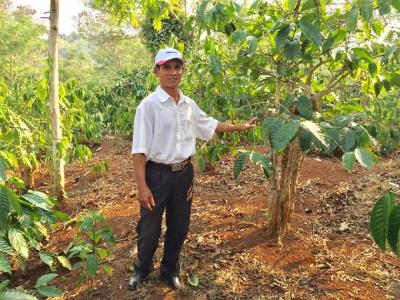 Deal to revive coffee industry