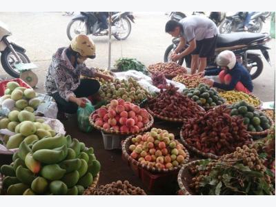 Daily fruit and vegetable imports top USD2.9 million