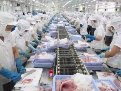 VN pangasius exports up 9.6% in 2016