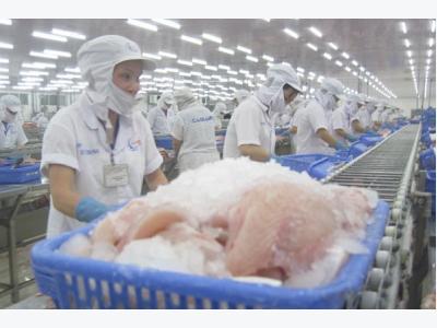 Tra fish price peaks on stronger export to China