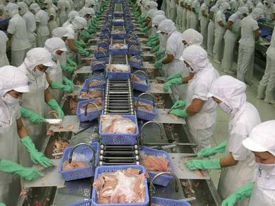 Pangasius exports to the US declined