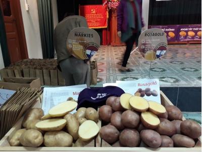 Việt Nam seeks Netherlands assistance in agriculture sector