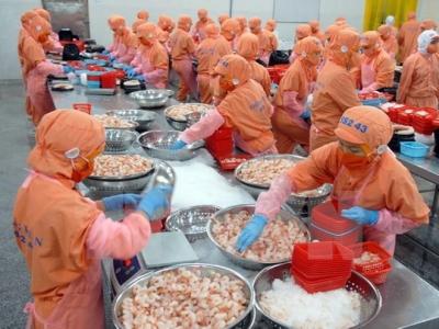 Việt Nam slams Australias prawn ban