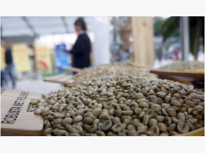 Vietnams 2017 coffee exports may dip on low stock as uncertainty mounts