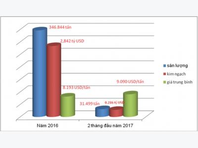 Cashew nut exports mostly rely on imported raw materials