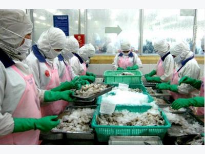 Vietnam requests Australia roll back ban on shrimp imports