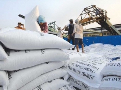 Vietnamese rice exports in 2018 could hit 6.5 million tonne