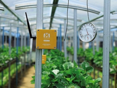 Startups seek to change game in smart agritech