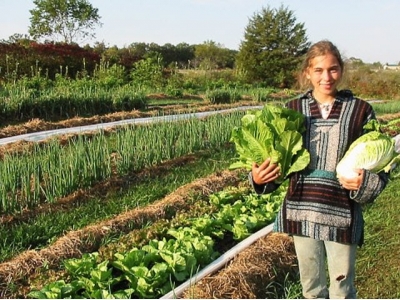 Number of workers on fully organic farms in EU increased 42%