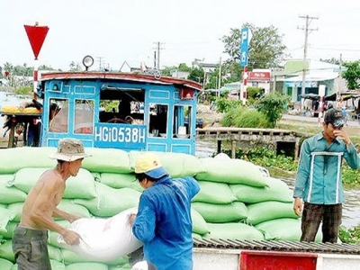 VFA proposes to solve problems in rice export to China