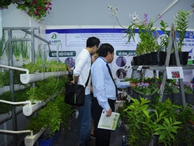 Ample opportunities in Vietnamese horticulture industry