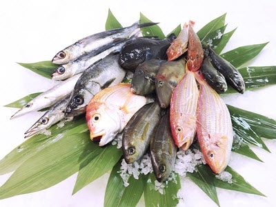 Giá thủy sản tại Khánh Hòa 15-03-2018