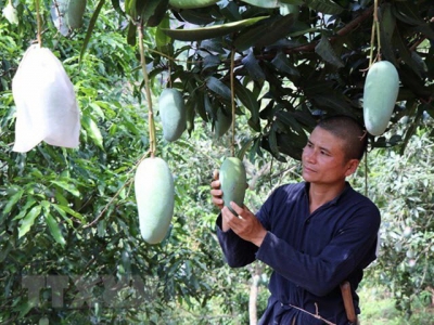 Viet Nam asked to enhance quality of farm produce to enter choosy markets