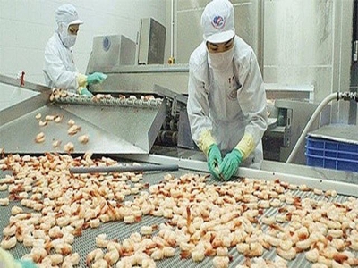 Mitsui invests $100 million in Vietnams king of shrimp Minh Phu