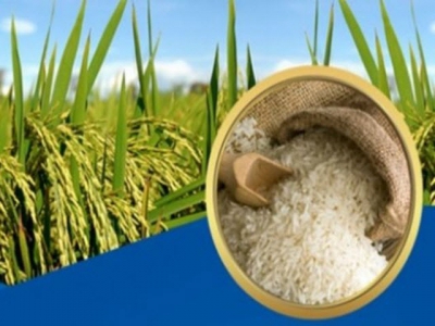 Vietnam gains $3.15 billion from rice export in 2018