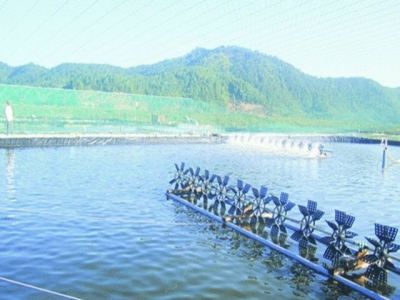 Hòa Lộc commune to build an effective aquaculture system