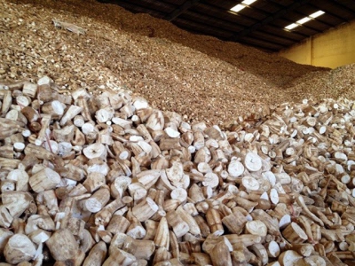 Viet Nam to face difficulties in cassava exports