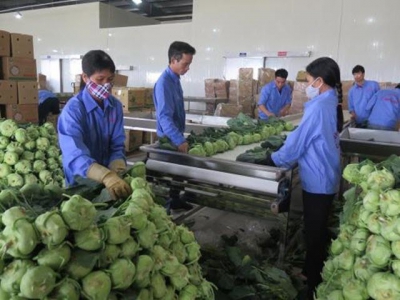 VN shows great potential for processed vegetable, fruit exports