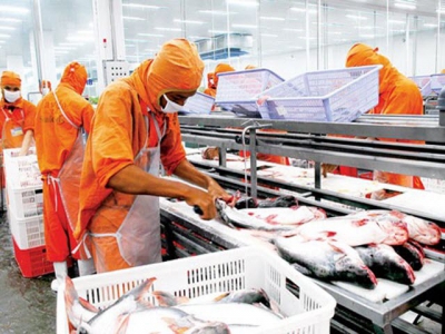 Việt Nam worlds fourth biggest seafood exporter