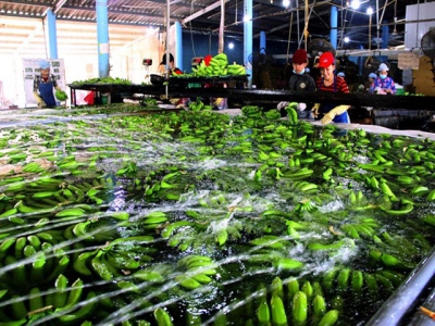 Data could help Việt Nam take the agriculture lead in a digital economy