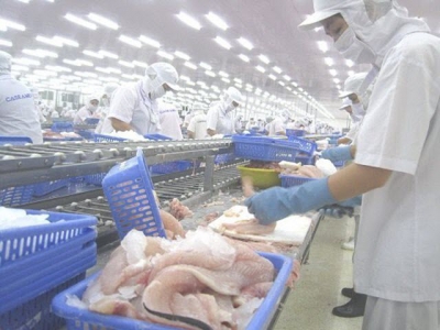 Export spike stimulates firms to invest in tra fish