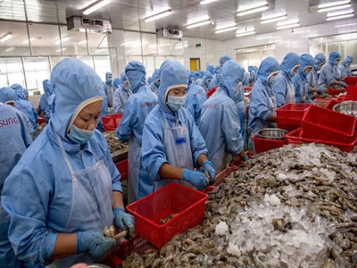 Coronavirus halts shrimp exports to China