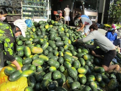 Produce rescue campaigns help farmers amid export decline to China due to coronavirus