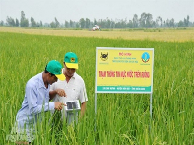 Giải pháp sản xuất nông nghiệp thông minh trong canh tác lúa
