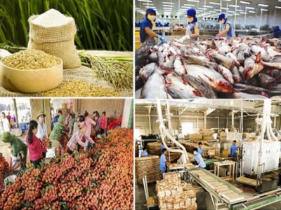 Vietnams agricultural exports set high growth target despite difficulties