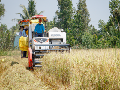 Vietnam buys Indian rice for first time in decades: industry officials