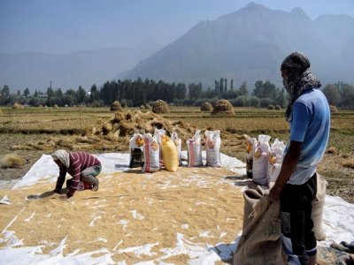 Asia rice - Indian prices rise; high Thai rates stoke competition worries