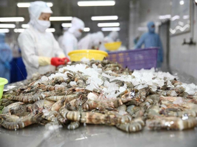 Vietnams shrimp export value falls in February following surge in January