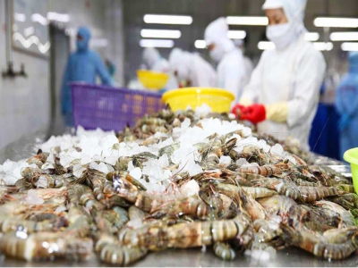 Vietnams shrimp, pangasius exports to UK grow