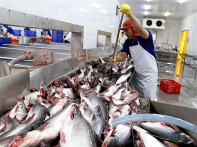 Vietnams seafood production rises in third quarter