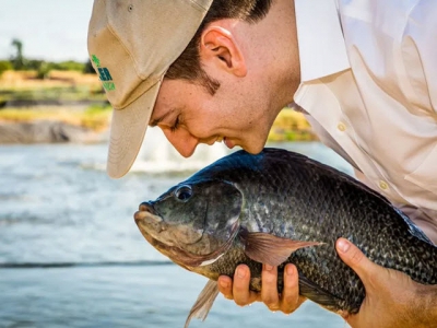 The future of tilapia aquaculture: an insiders perspective